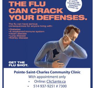 Vaccination against the seasonal flu
